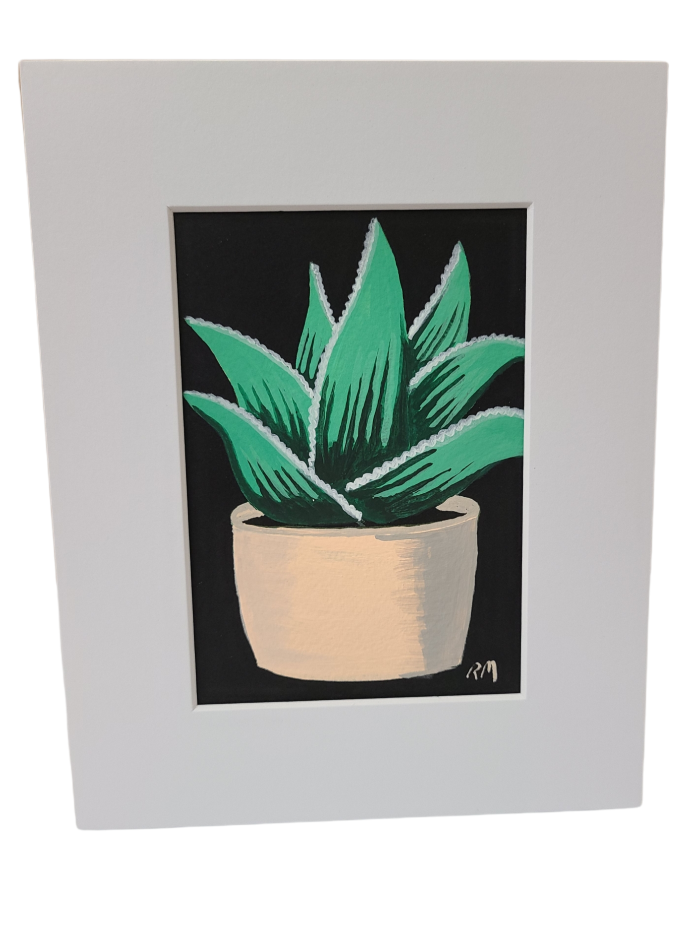 alocasia little zebrina Alocasia Zebrina 9cm Pot French Production Quality  plantandstories